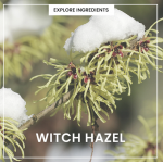 Heimish All Clean Green Foam pH 5.5 – Απαλό καθαριστικό με χαμηλό pH