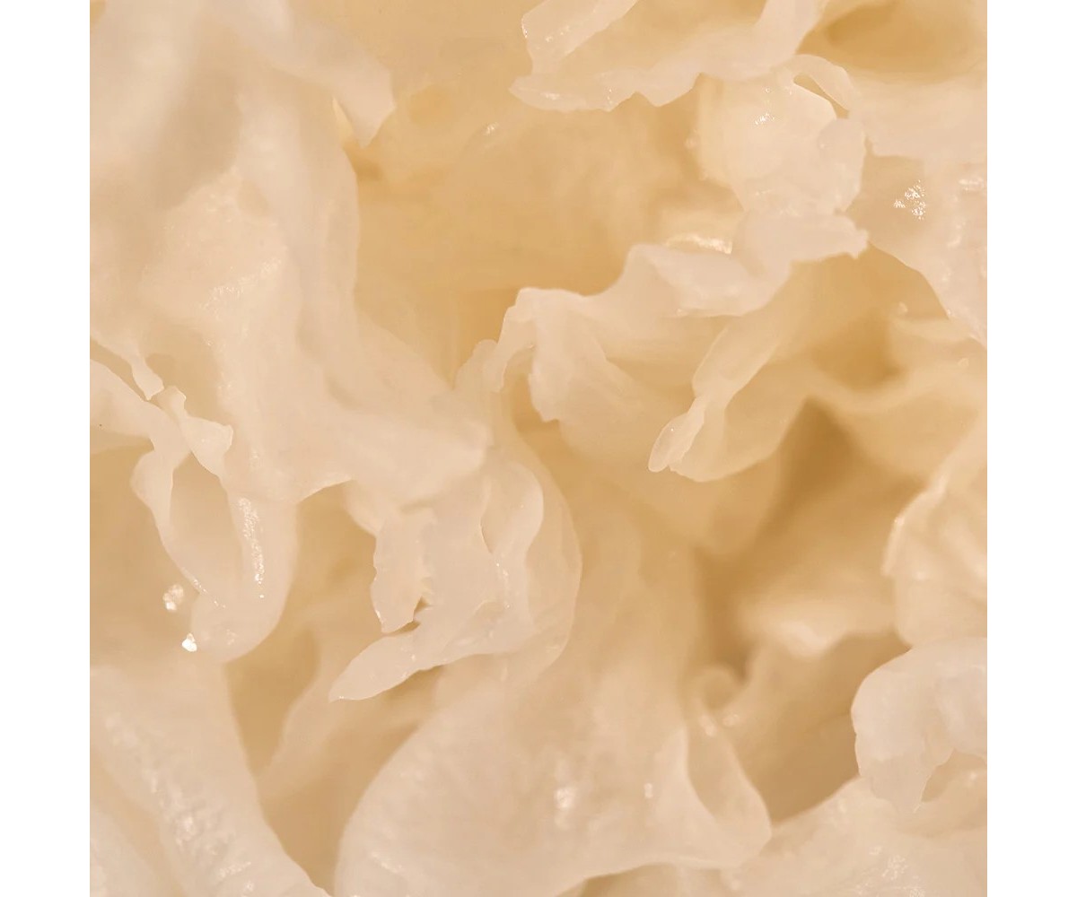 KAINE Vegan Collagen Youth Cream – Vegan κρέμα με κολλαγόνο για σύσφιξη και ενυδάτωση