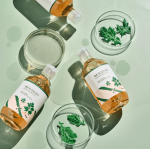 Round Lab Mugwort Calming Toner τονωτικό προσώπου με εκχύλισμα Mugwort και 4‑CICA