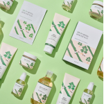 Round Lab Mugwort Calming Toner τονωτικό προσώπου με εκχύλισμα Mugwort και 4‑CICA