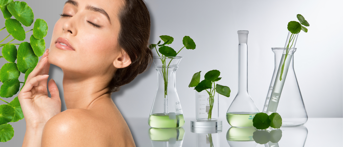 Centella Asiatica - Δύναμη από την φύση  για υγιές και λαμπερό δέρμα!